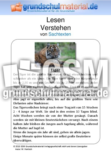 Tiger.pdf